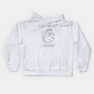 I Do What I Want Kids Hoodie